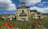 Blumenwiese Extremadura