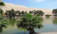 Oase in Huacachina