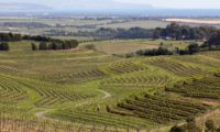 Das Weinanbaugebiet in Australien