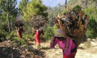 Nepalesische Frauen tragen Feuerholz