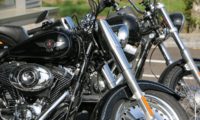 Unsere Harleys stehen bereit