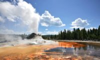 Gastle Geysir nahe dem old faithful