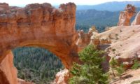 Capitol Reef Bogen