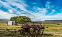 Alter Pferdewagen - Estancia de La Angostura