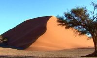 Riesige Sanddünen in Sossusvlei