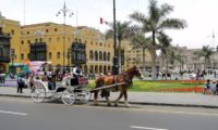 Pferdekutsche in Lima
