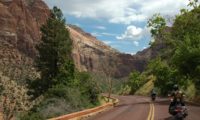 Straße durch den Zion National Park