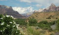 Der Zion National Park