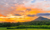 Costa Rica Curubande am Nationalparks Rincon de la Vieja