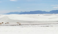 White sands National Park