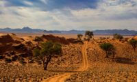 Piste durch die Wüstenlandschaft Namibias