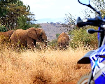 Motorradreisen in Afrika