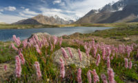 Bergpanorama in Zanskar