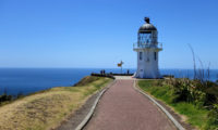 Neuseeland Cape Reinga