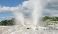 Aktiver Geysir in Rotorua