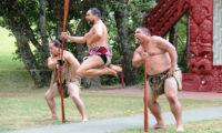 Maori Tanz