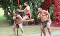 Maori Krieger beim traditionellen Tanz