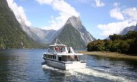 Boostfahrt am Milford Sound mit einmaligen Ausblicken